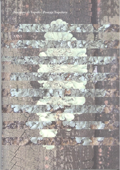 Copertina  Stazione di Topolò : [ventiseiesima edizione]